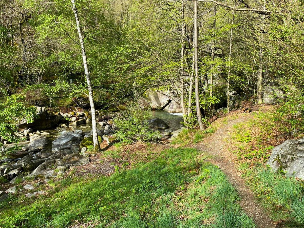 Foto 5