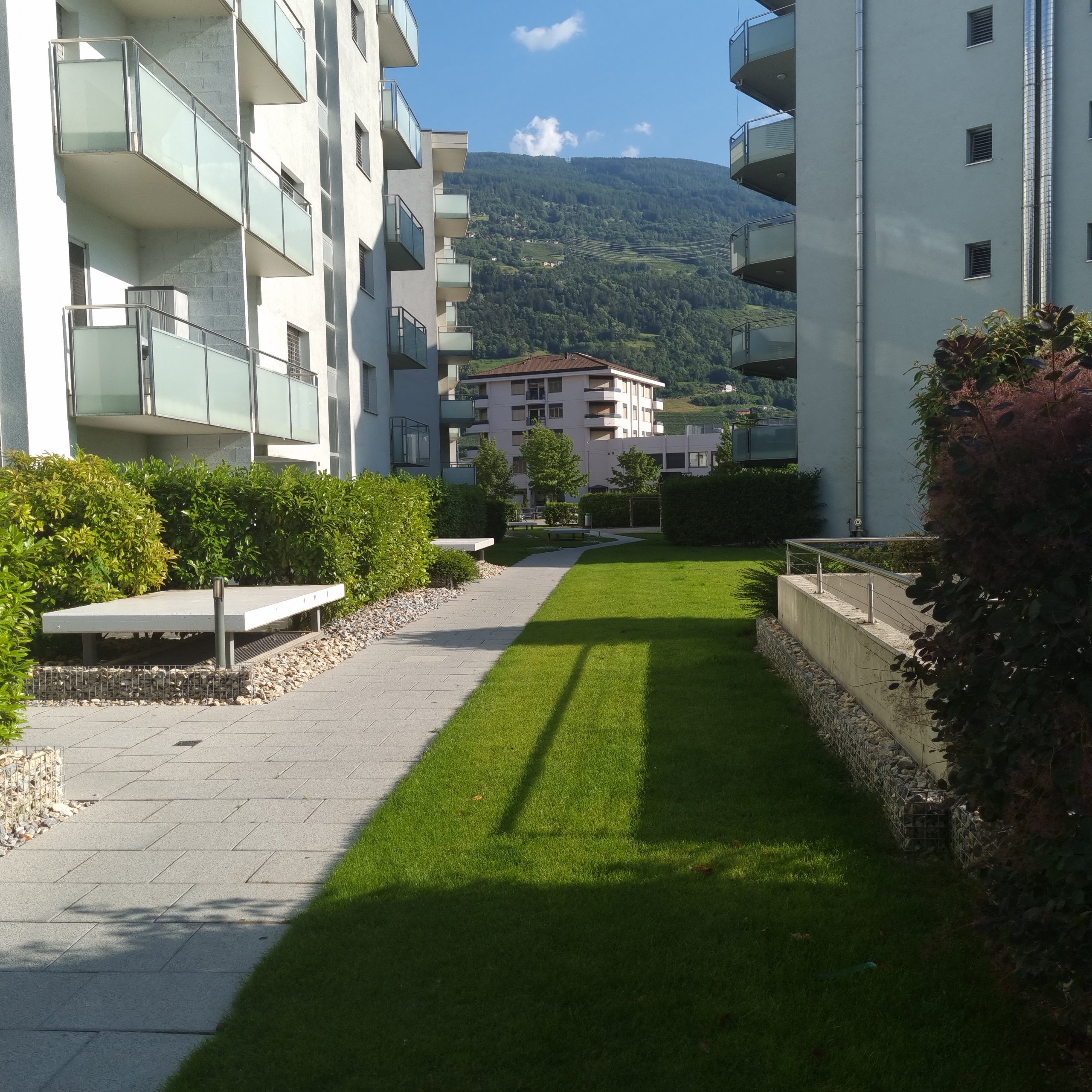Picture 6