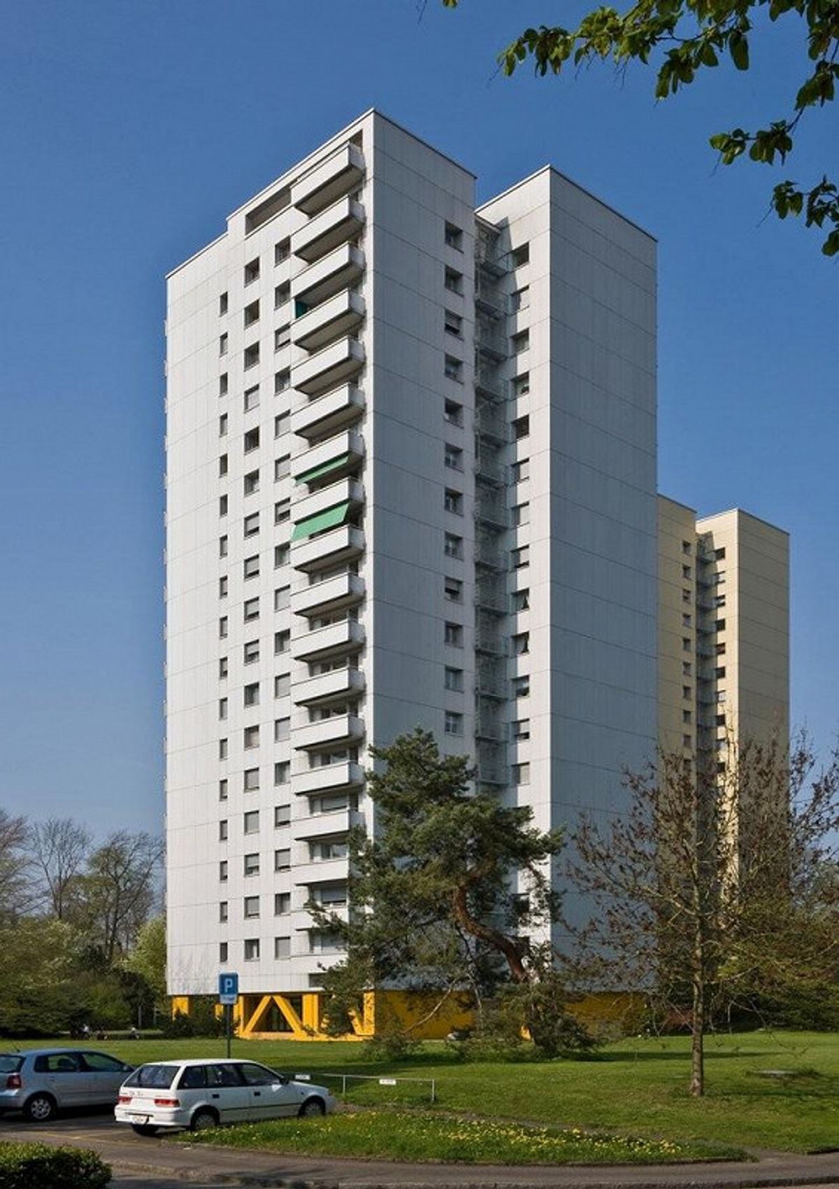 Immagine di copertina