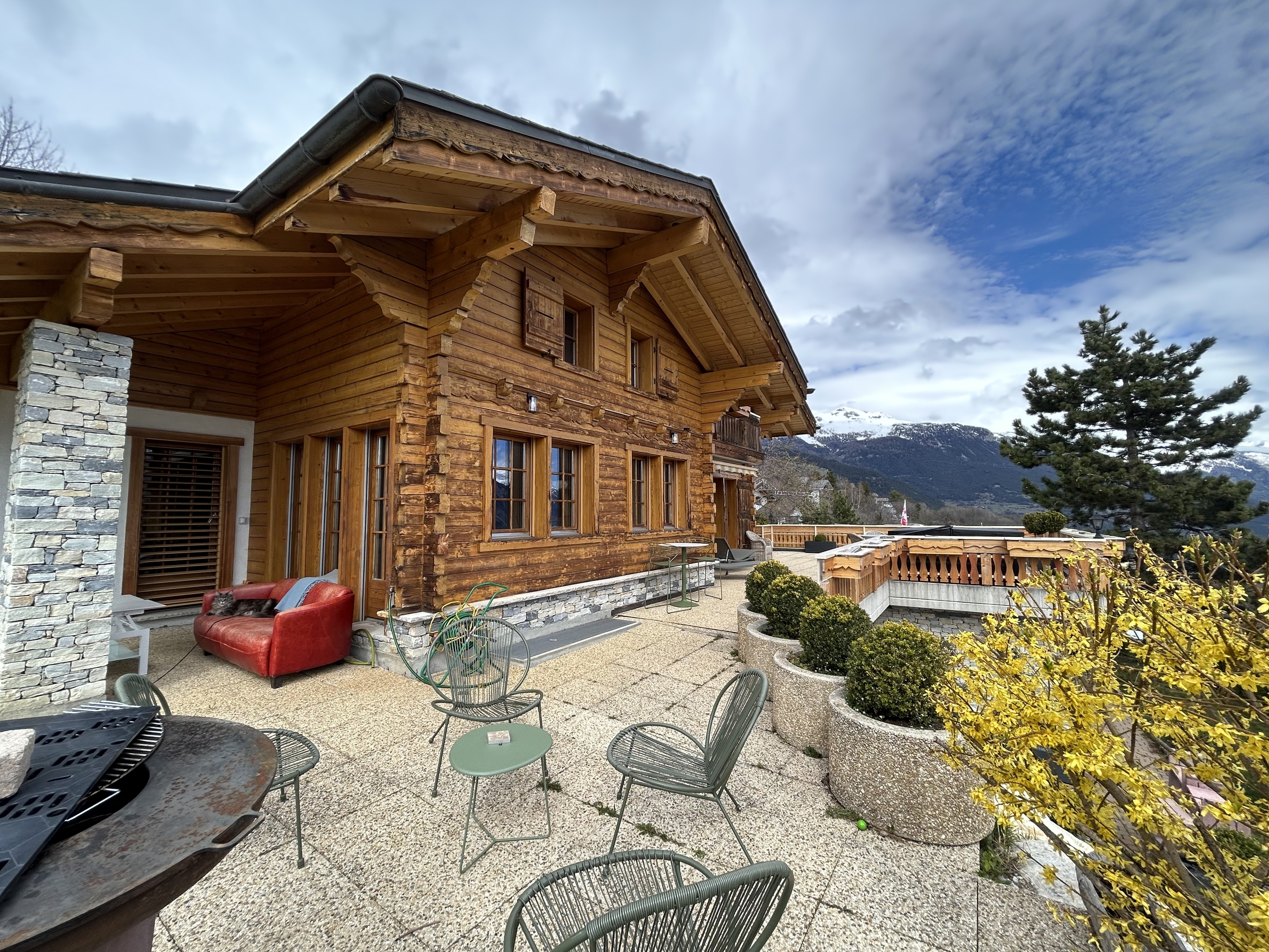 Immagine di copertina