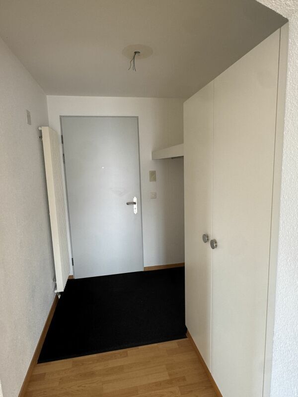 Picture 7