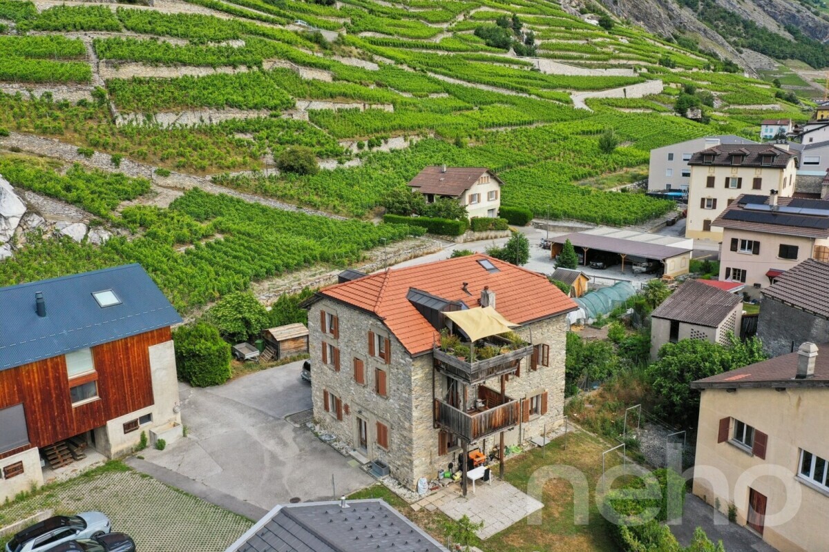 Foto 12