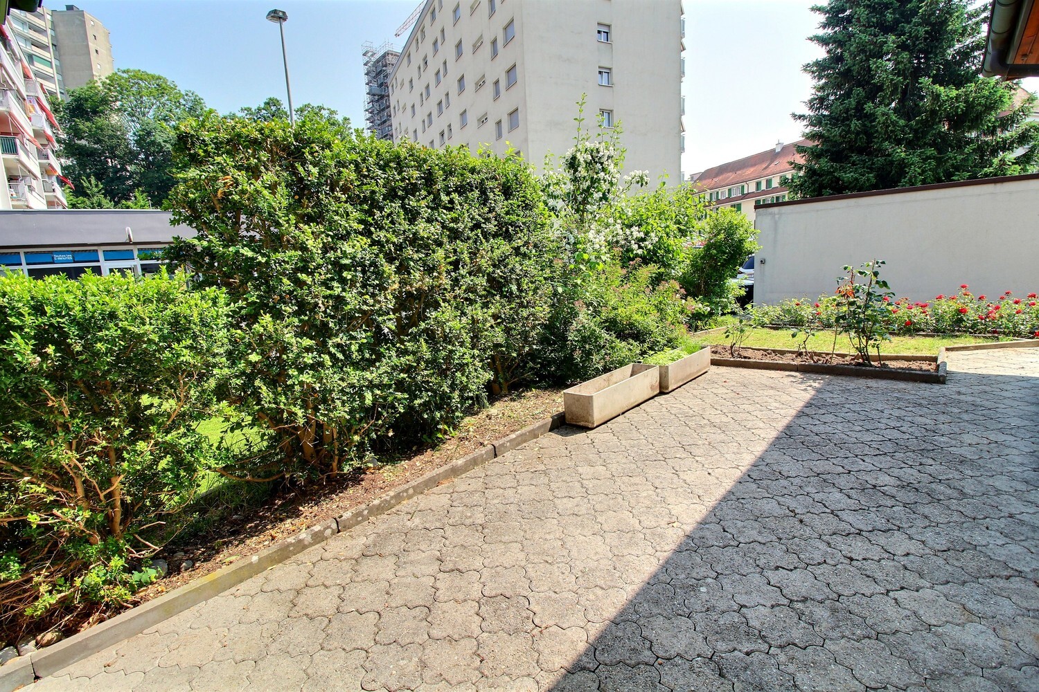 Photo 5