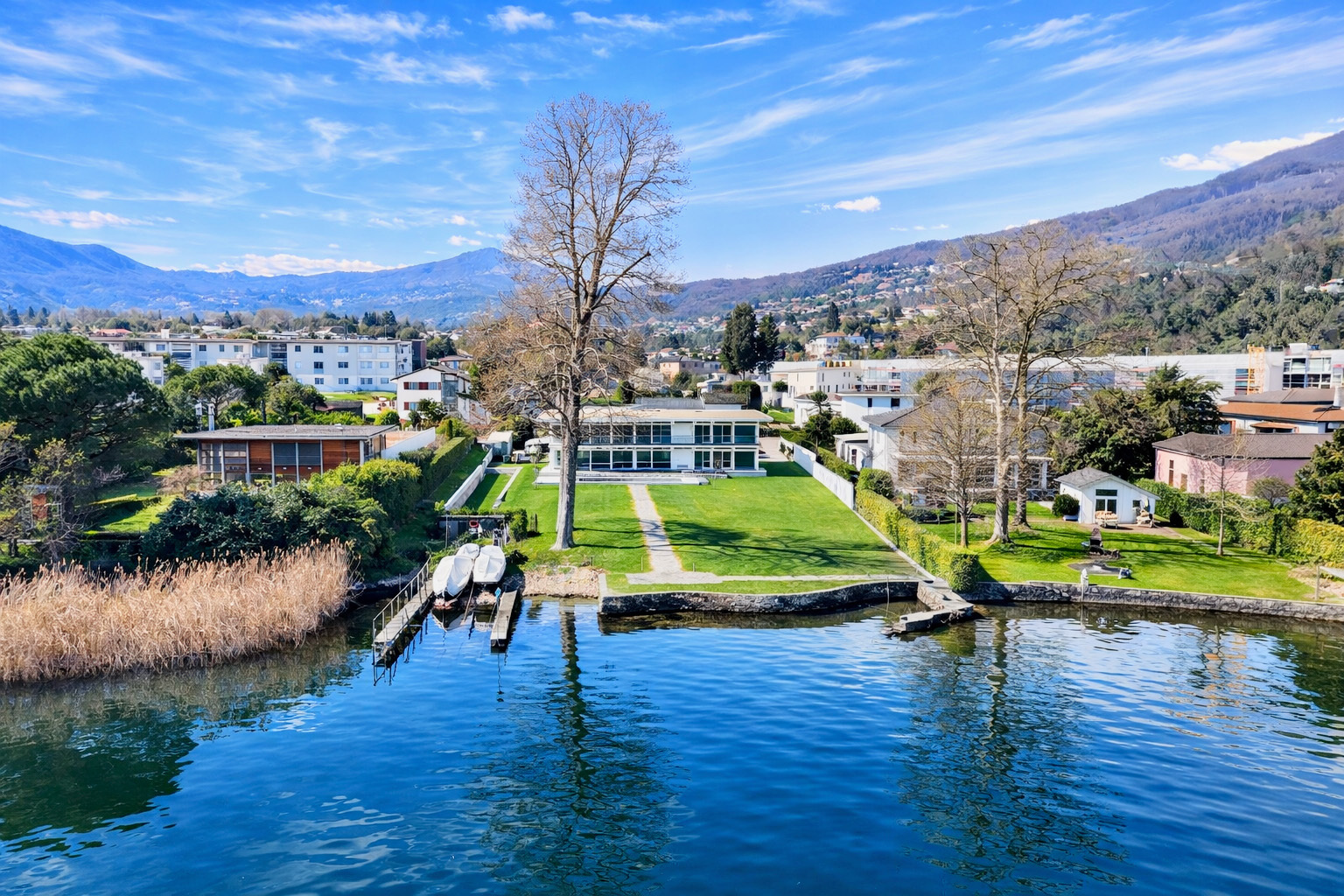 Immagine di copertina