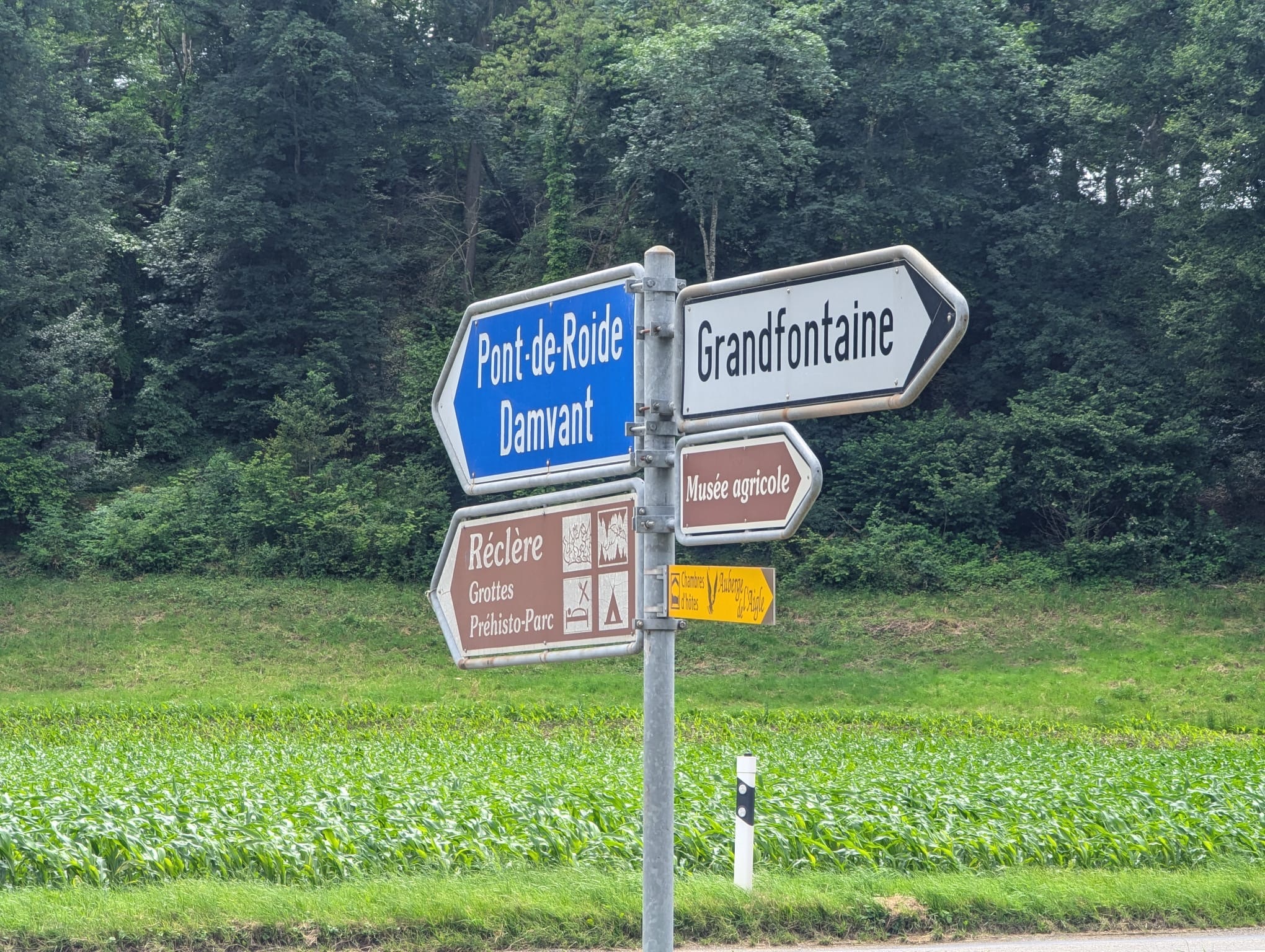 Premier coup d'oeil