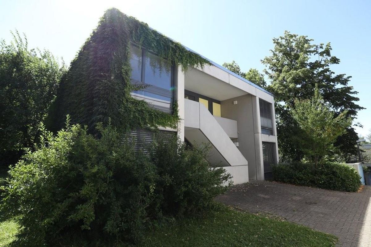 Immagine di copertina