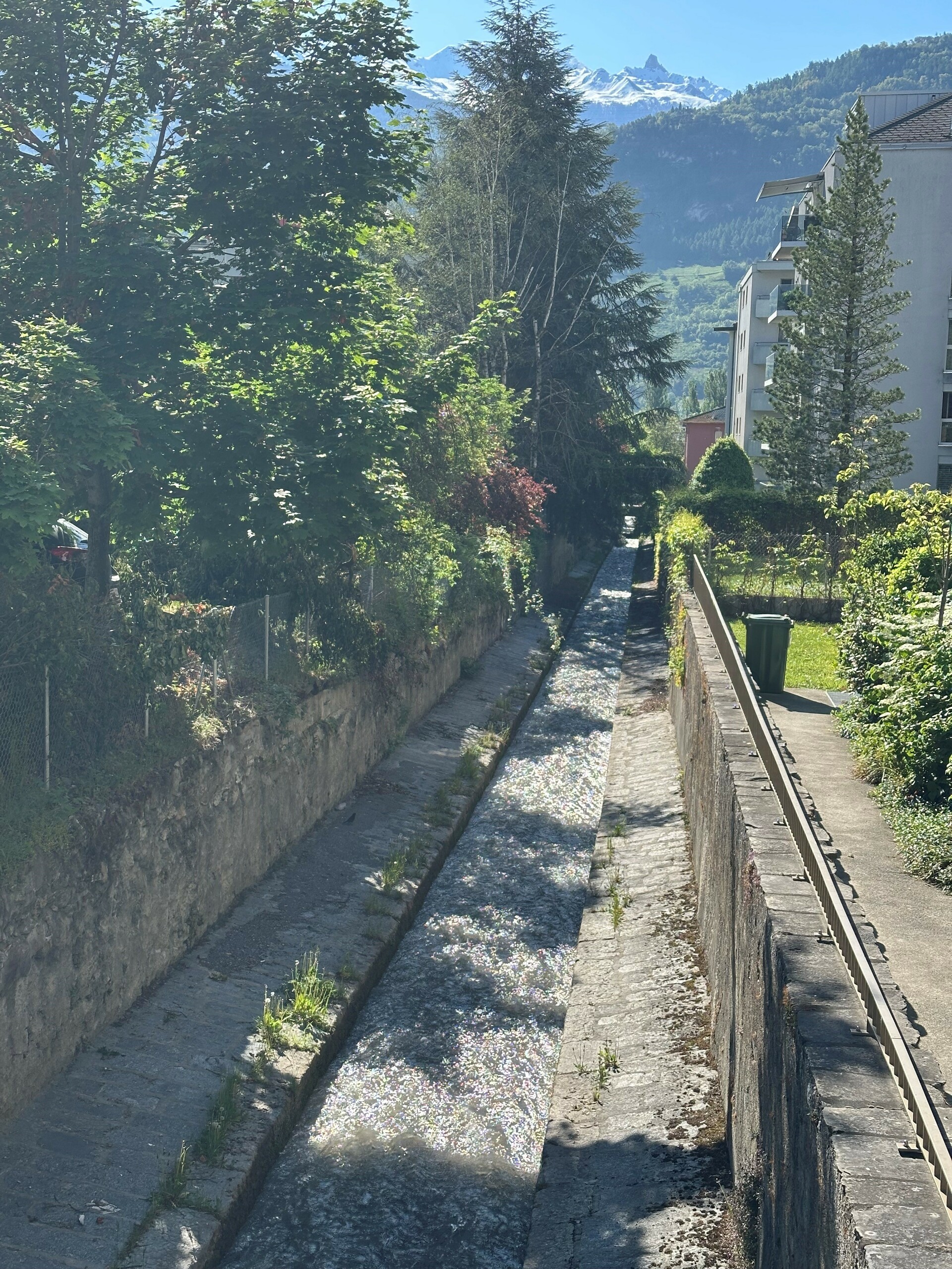 La Sionne et sa verdure La Sionne et sa verdure