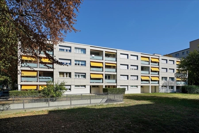 Immagine di copertina