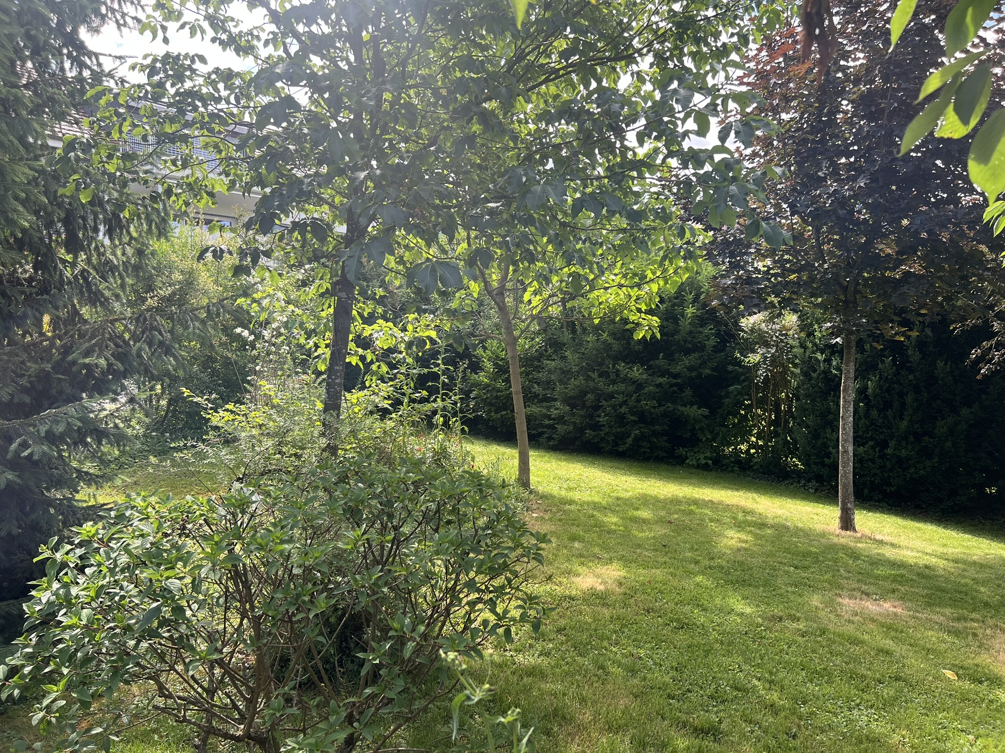 Vue extérieure 3
