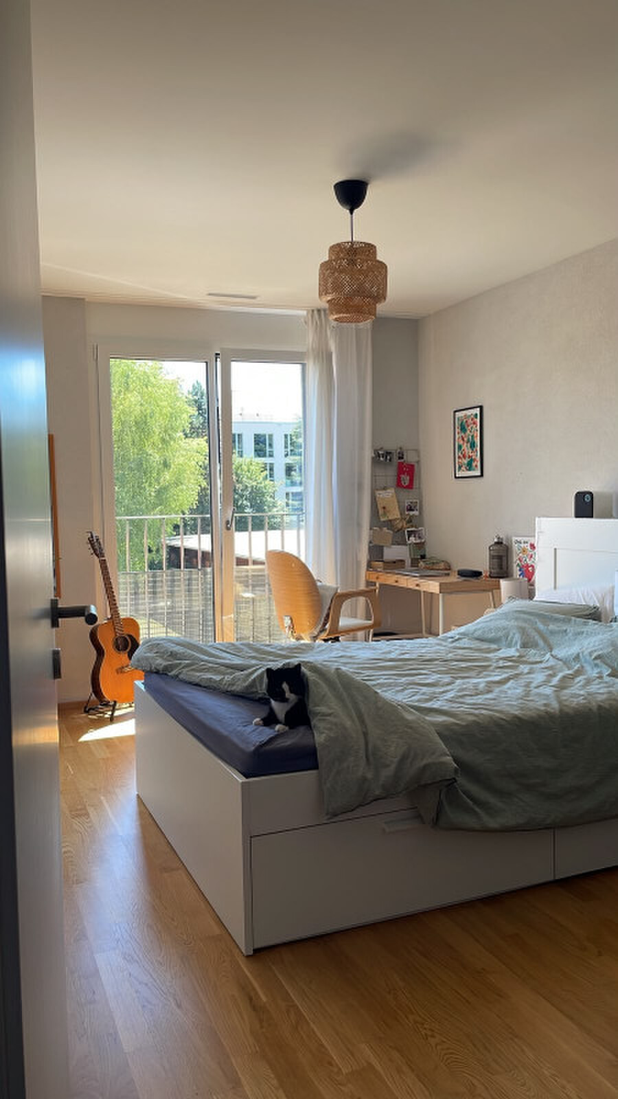 Photo 6