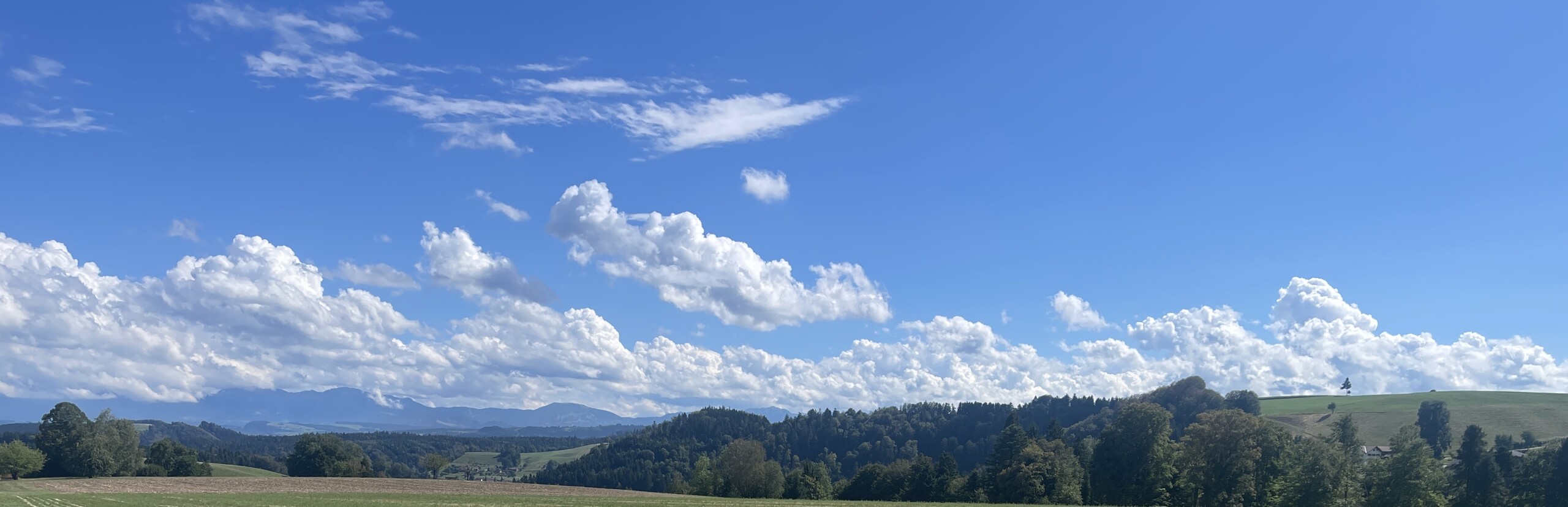 Ihre Weitsicht in Ohmstal