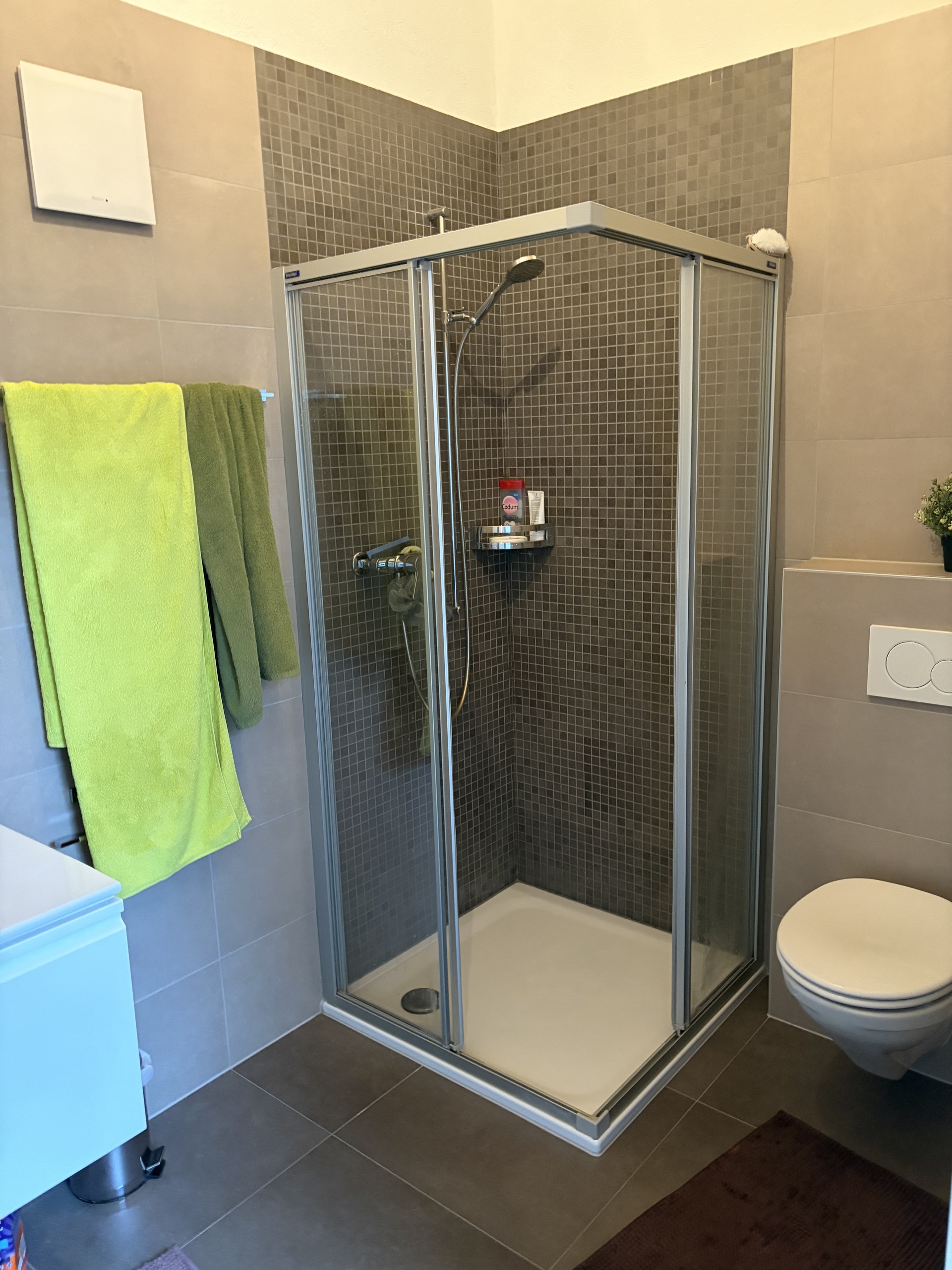 Salle de douche chambre parentale