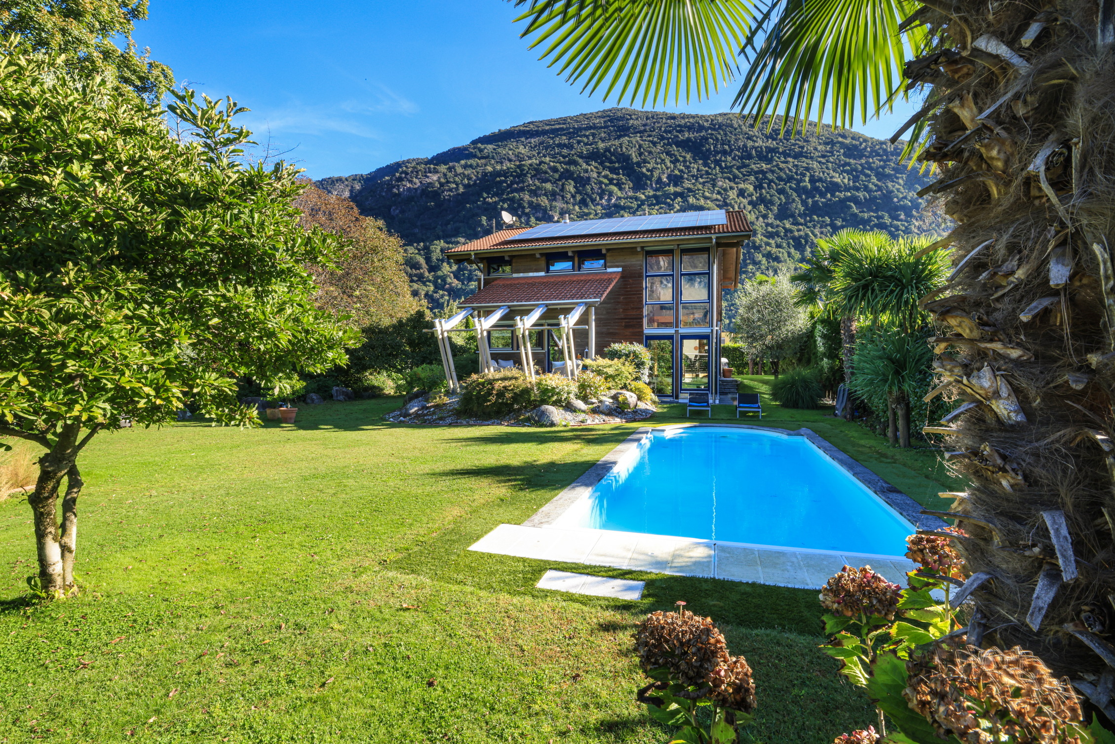 Immagine di copertina