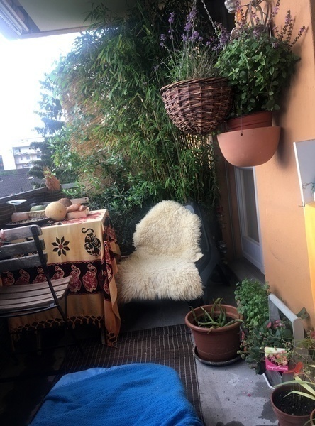 Foto 7