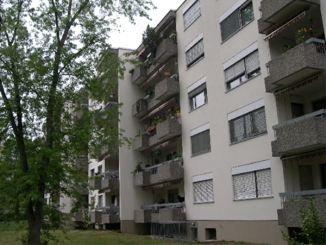 Immagine di copertina