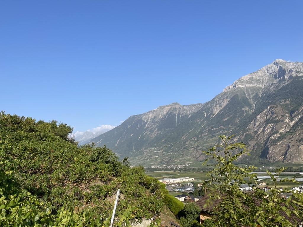 Aussenansicht 2