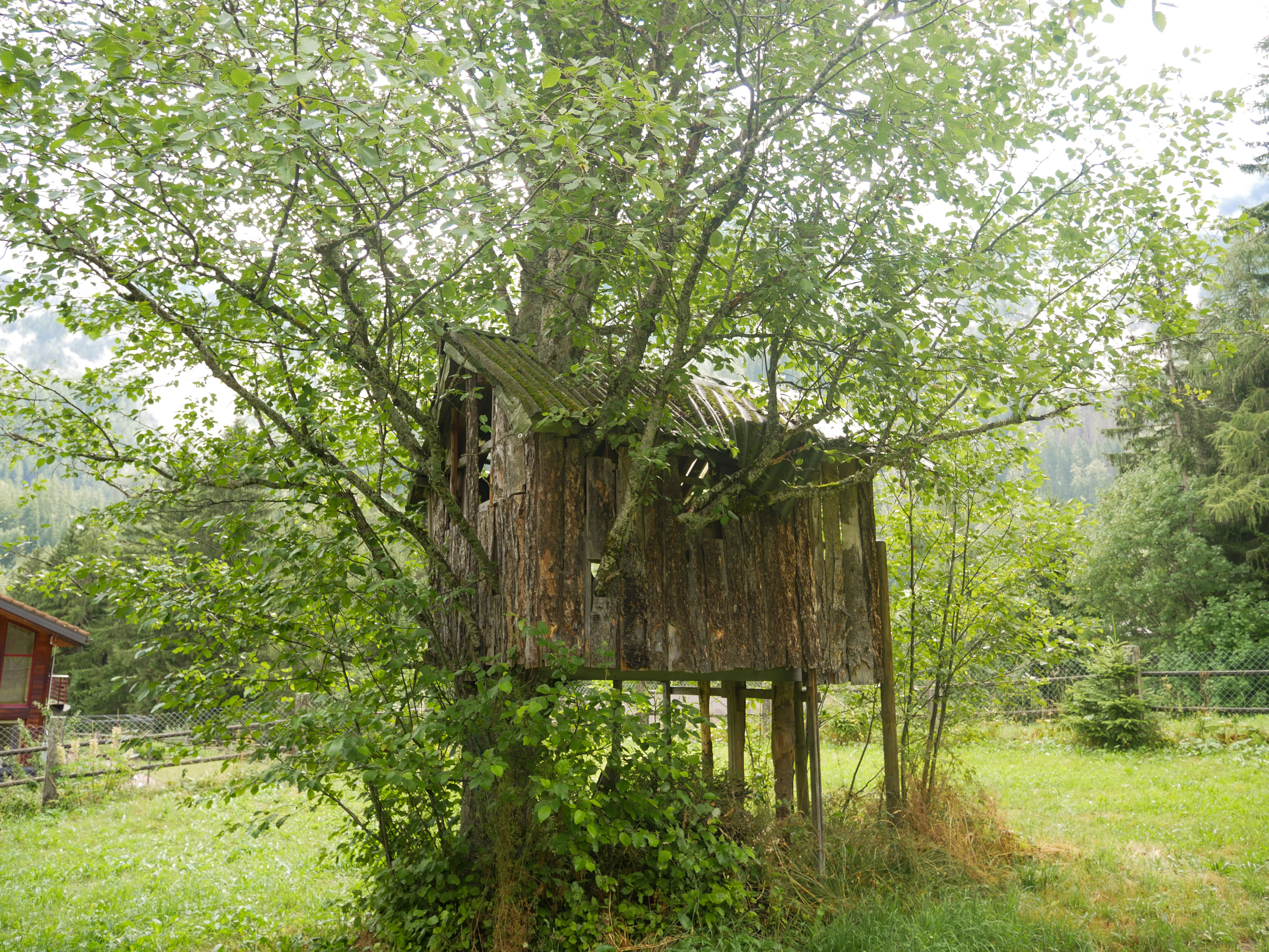 Cabane dans le jardin