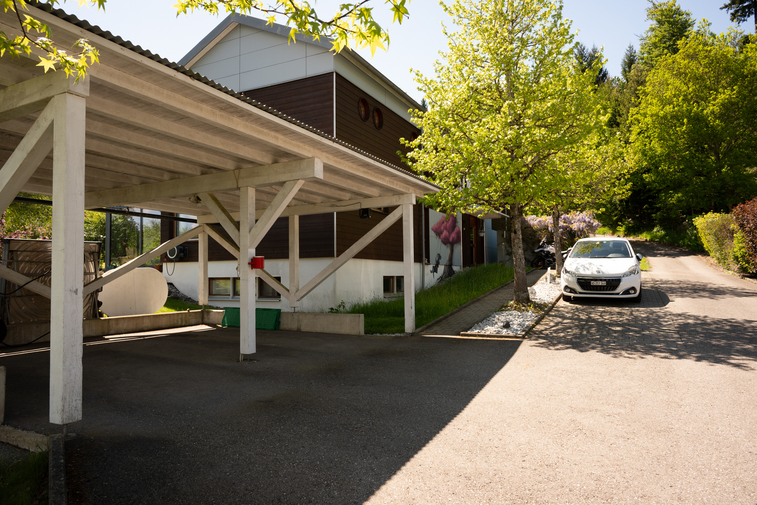 Photo 13