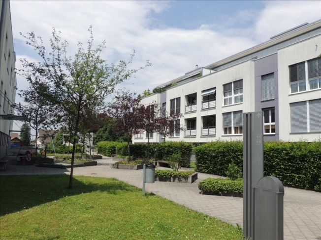 Immagine di copertina