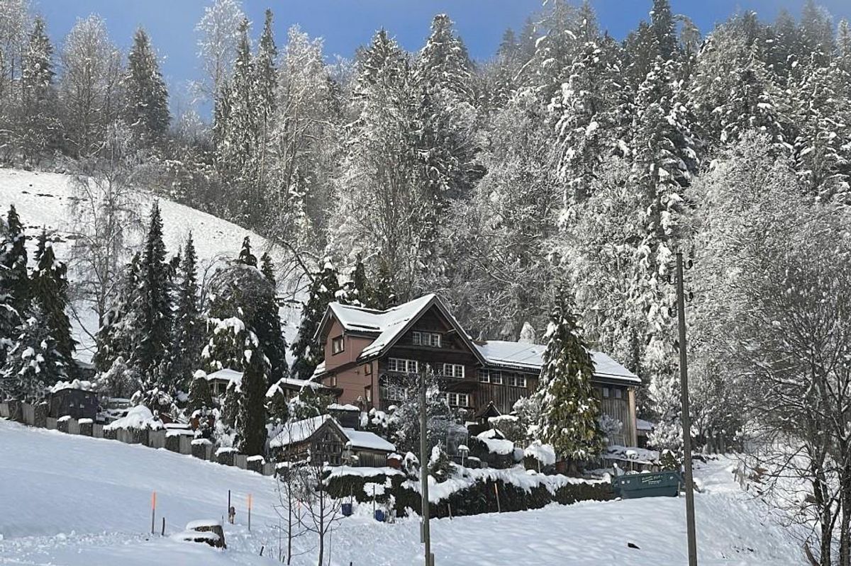 Foto 2