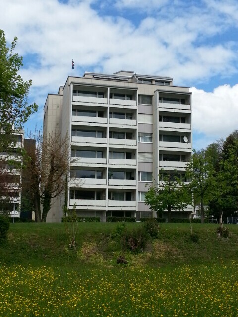 Picture 1