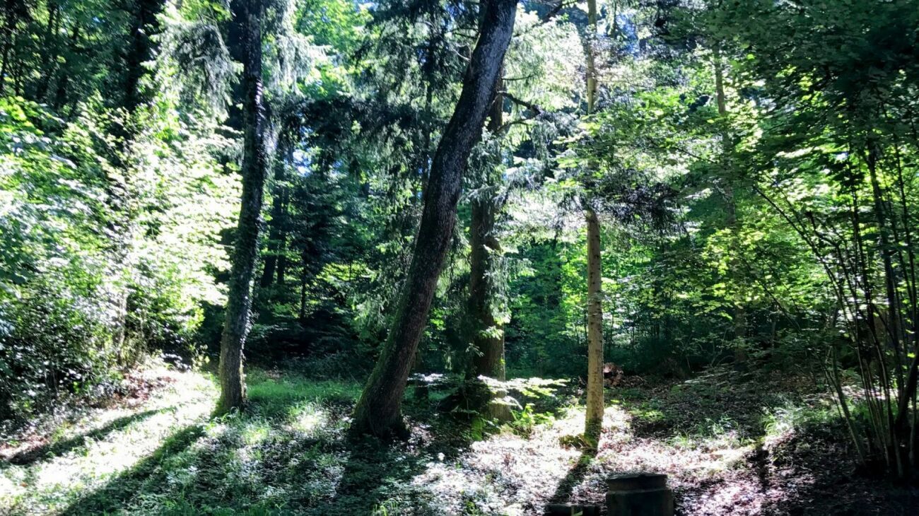 Foto 11