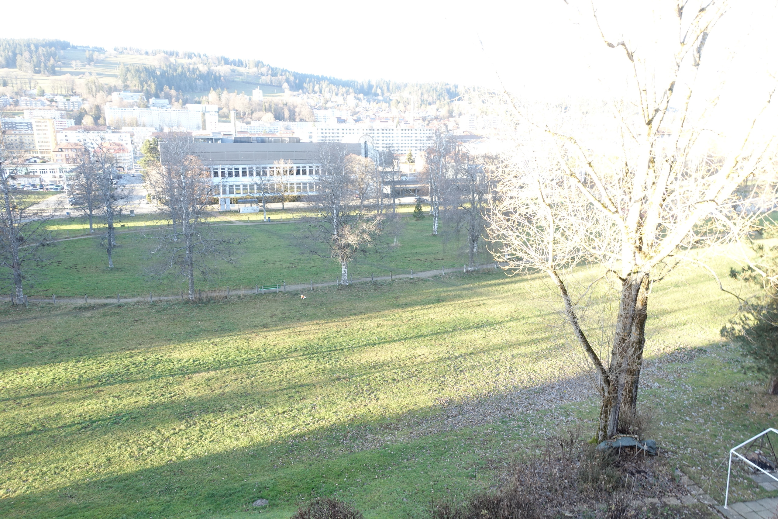 Photo 11