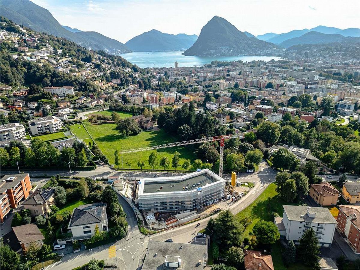 Immagine di copertina