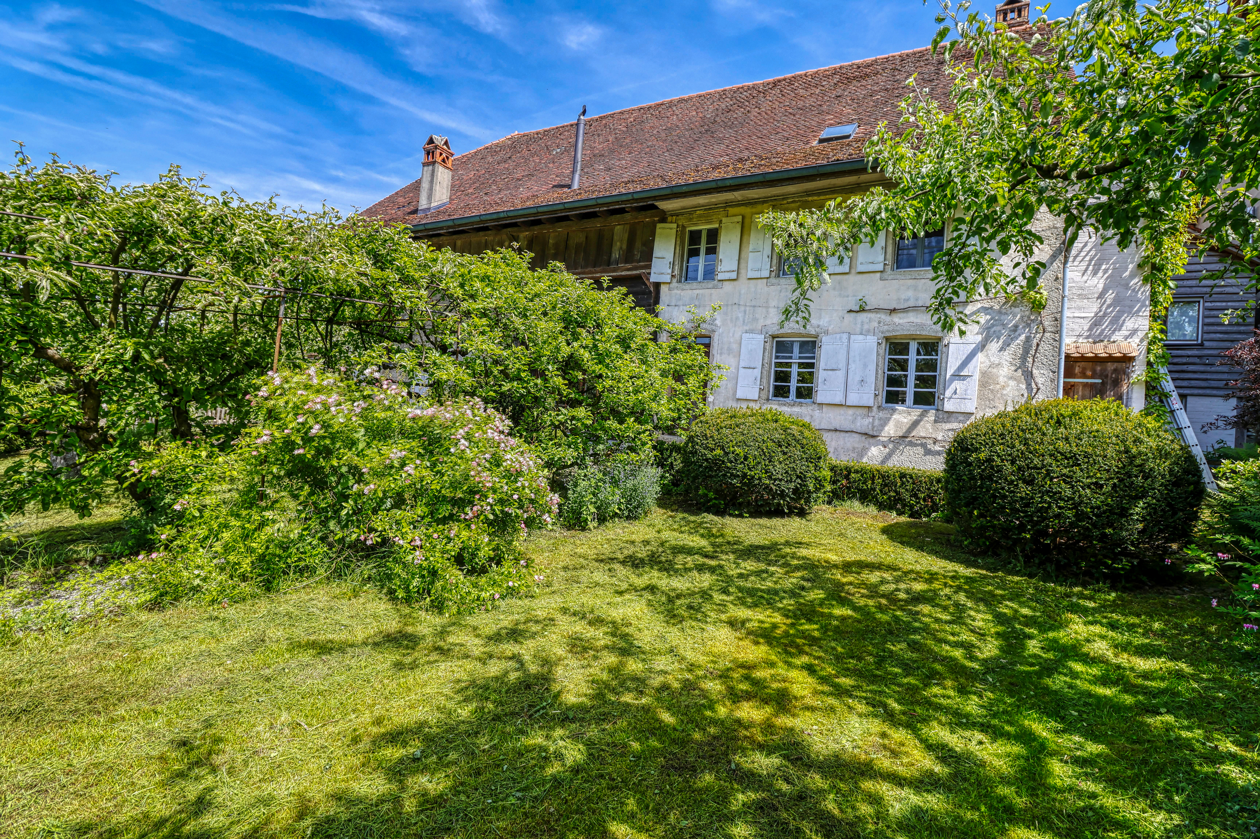 Vue extérieure 1