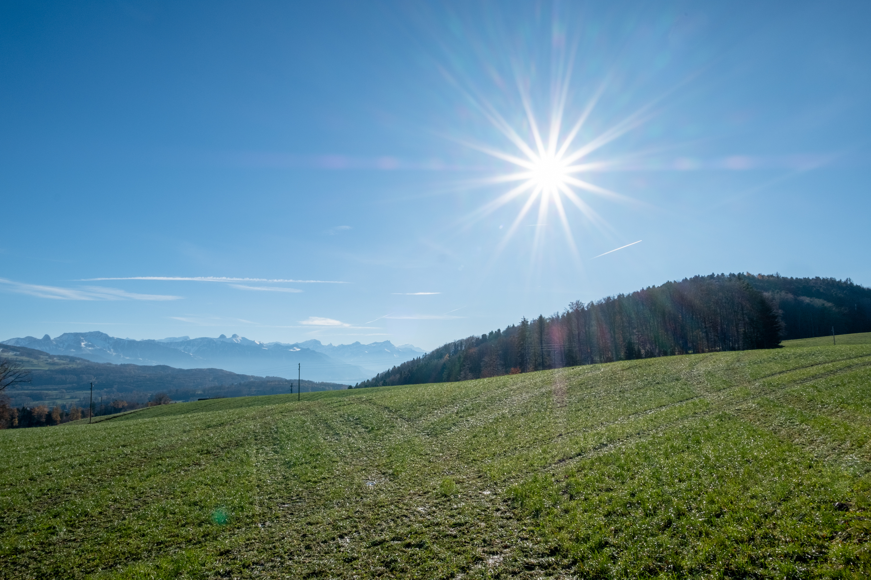 Projet immobilier à Forel avec 2 maisons mitoyennes à vendre : l'extérieur.