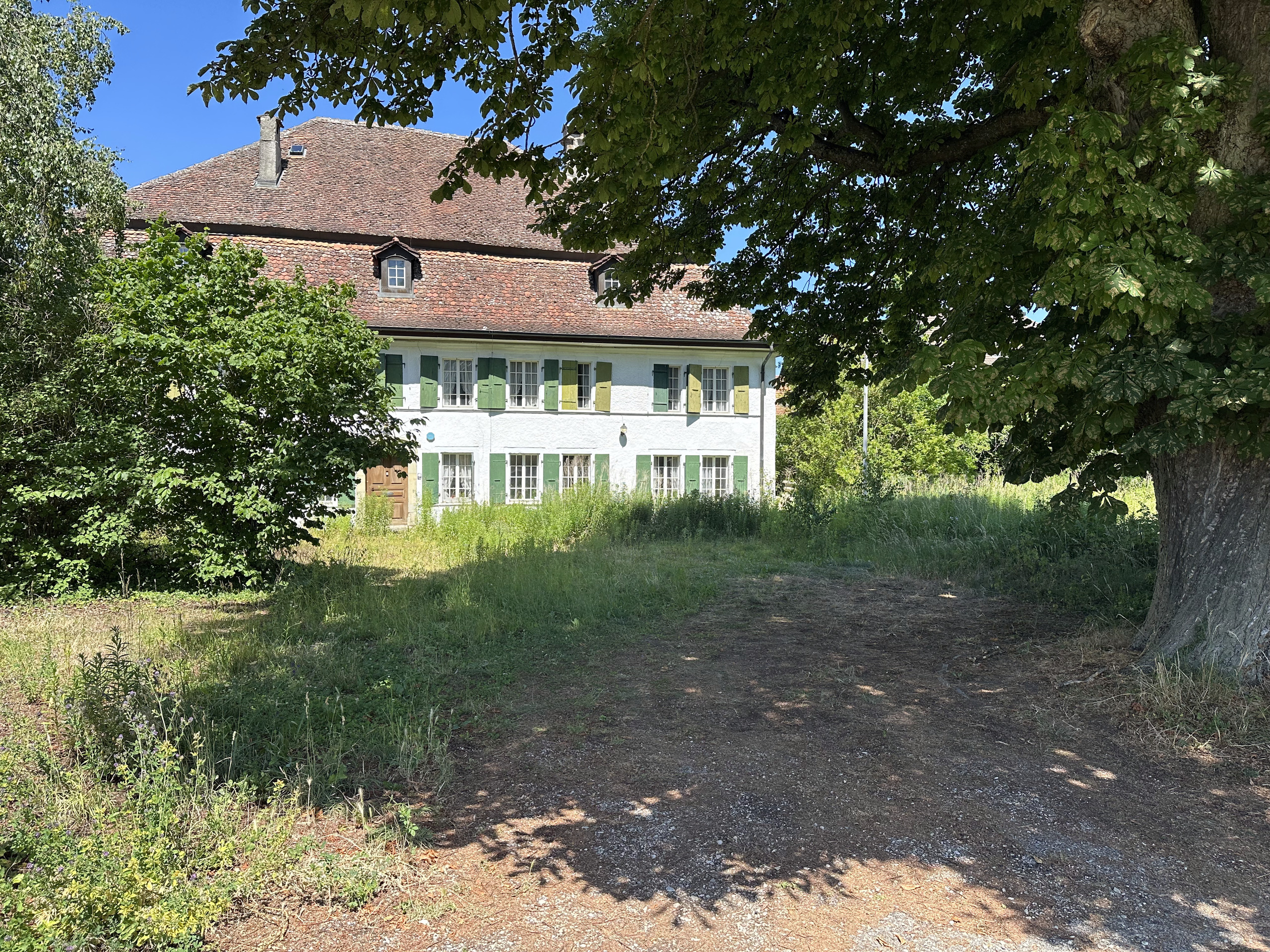 Photo 4