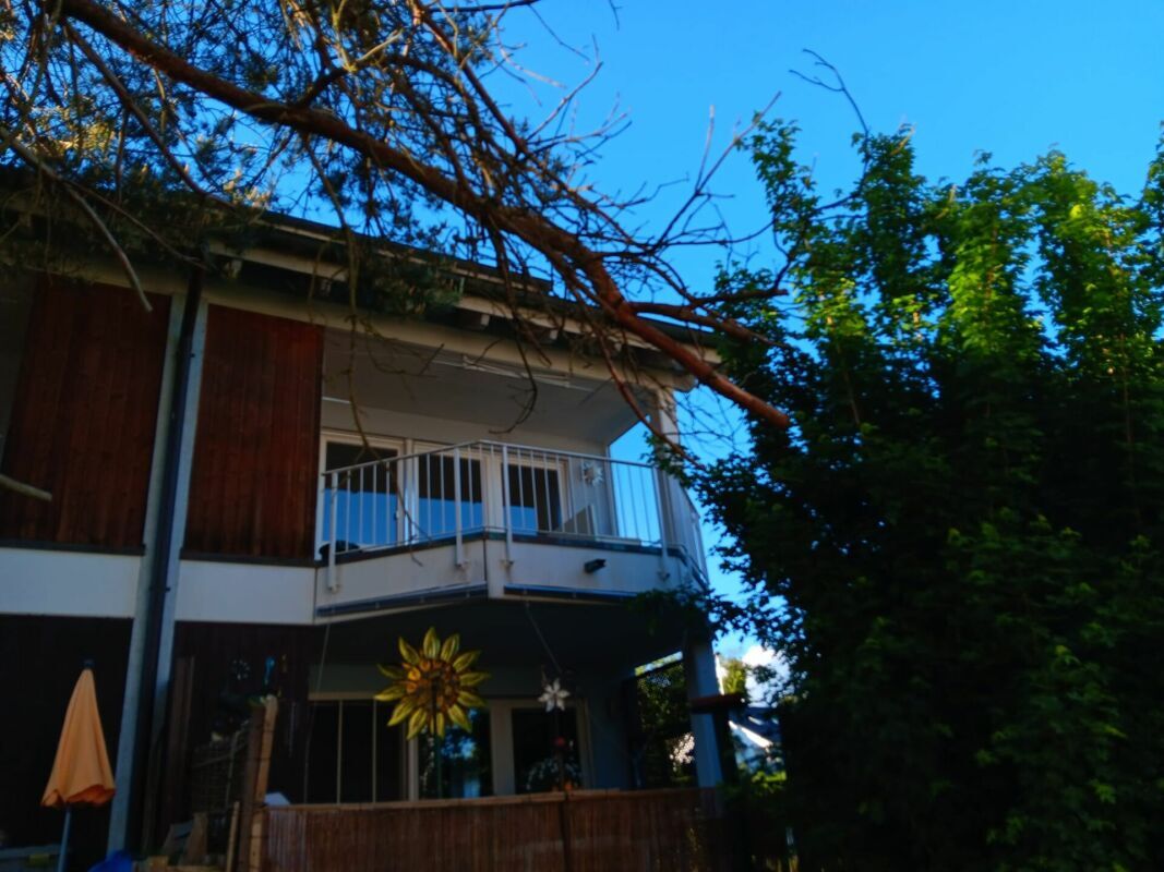 Photo 23