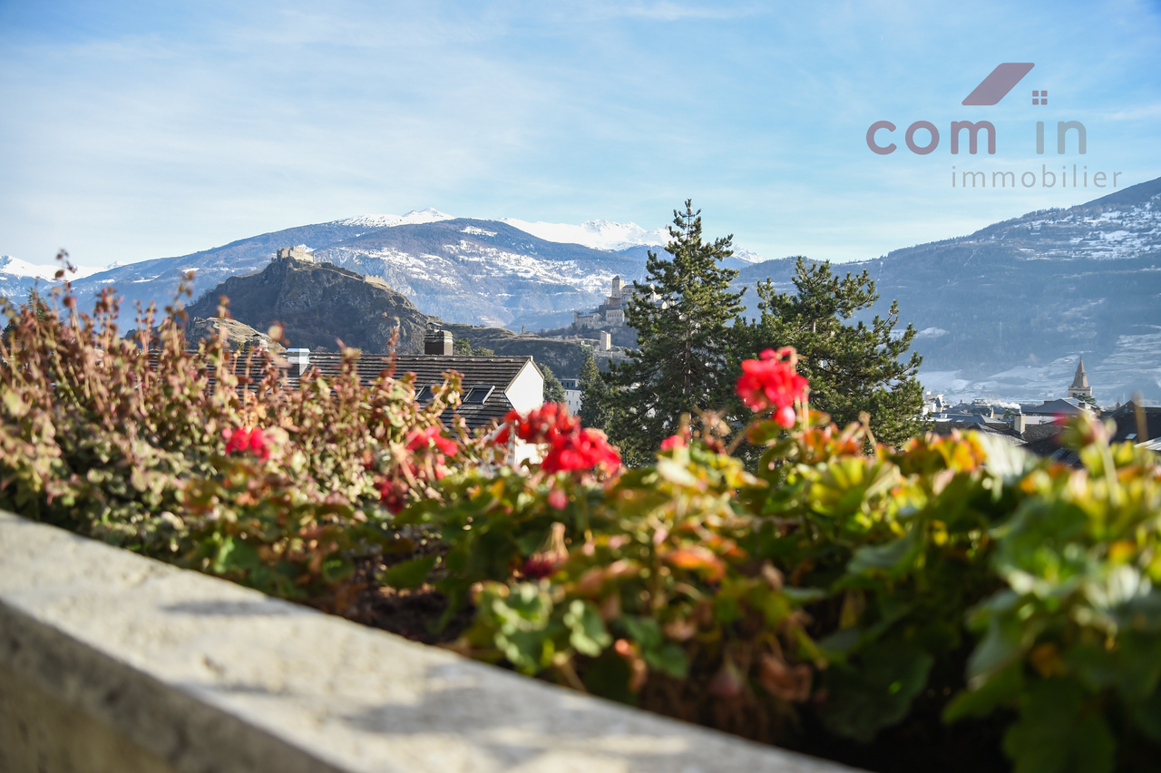 vue sur les châteaux  - plein Sud