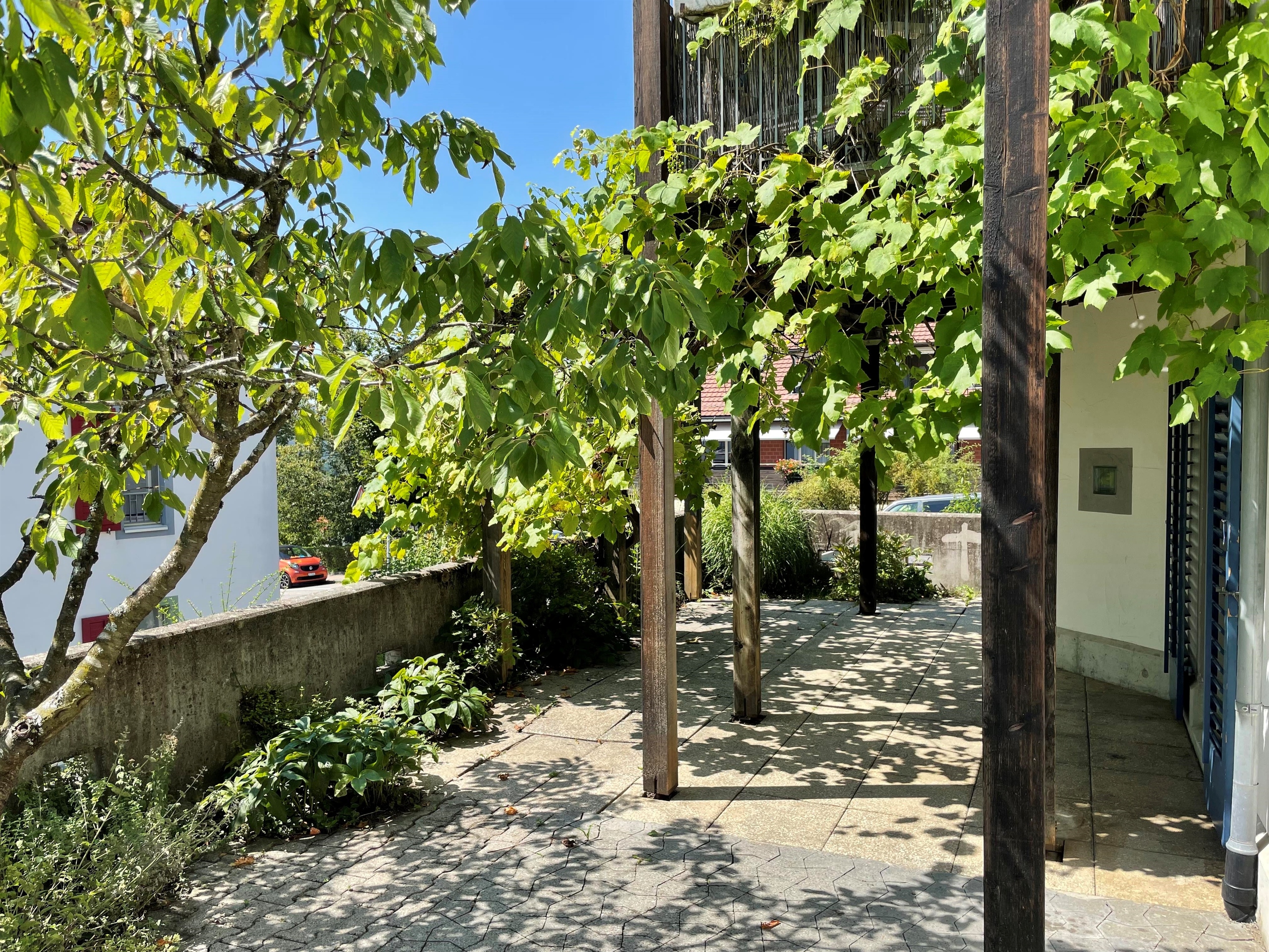 Foto 12