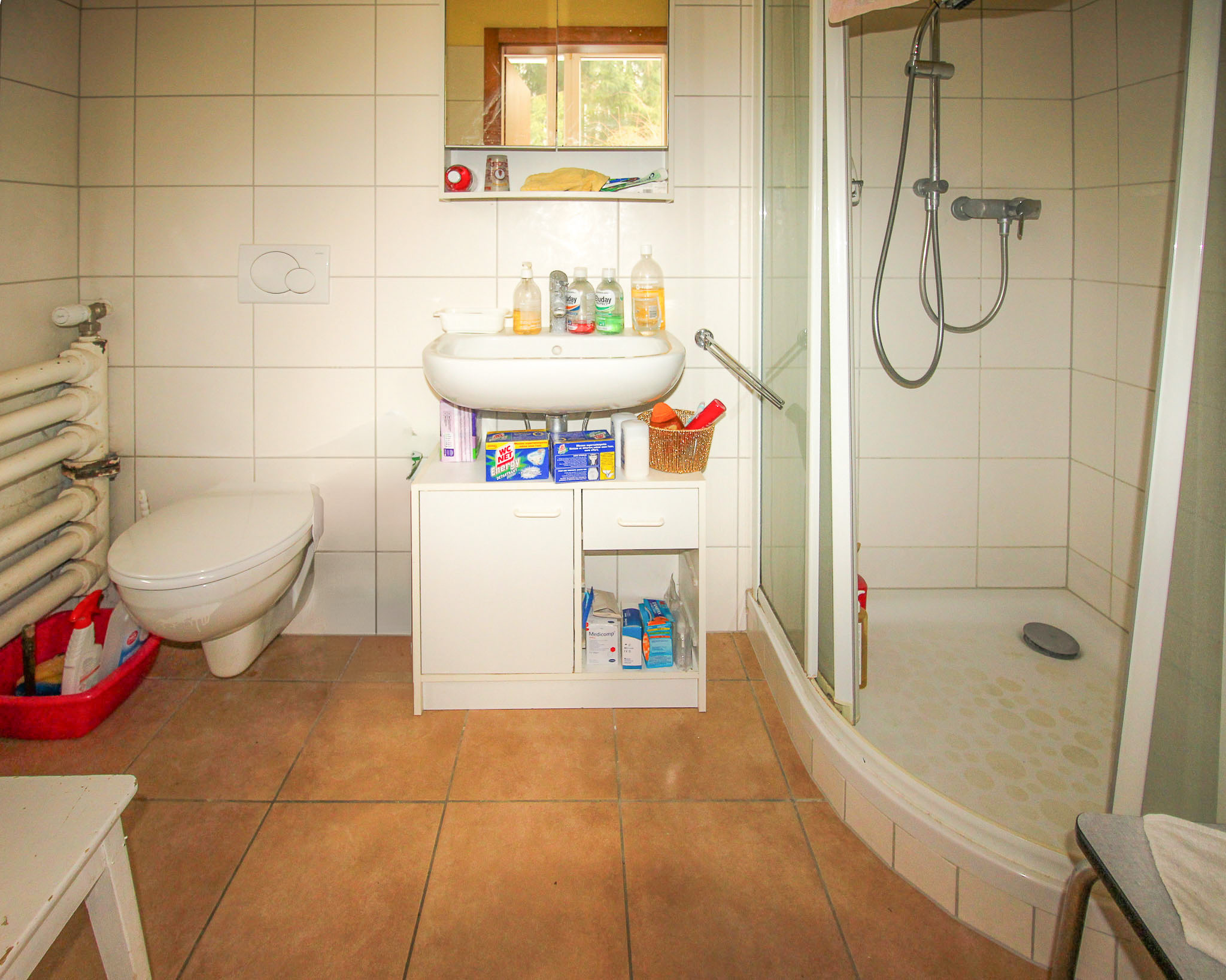 Rez-de-chaussée inférieur - salle de douche du loft