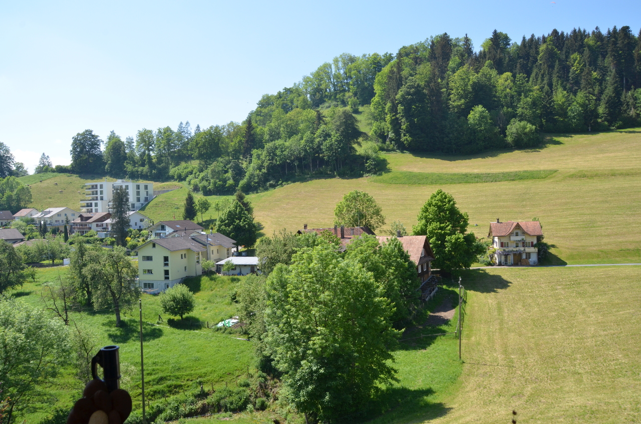 Foto 10