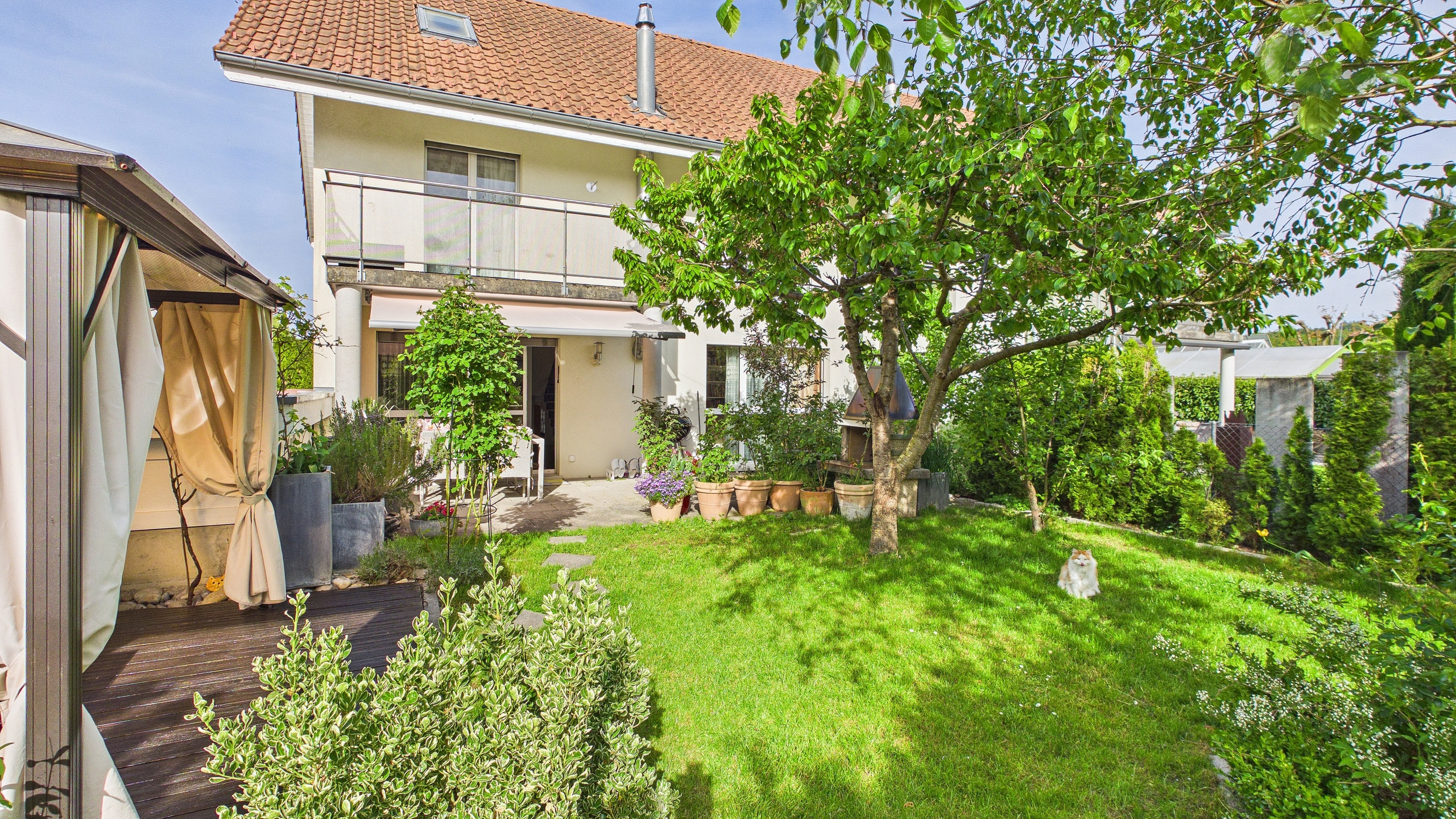 Immagine di copertina