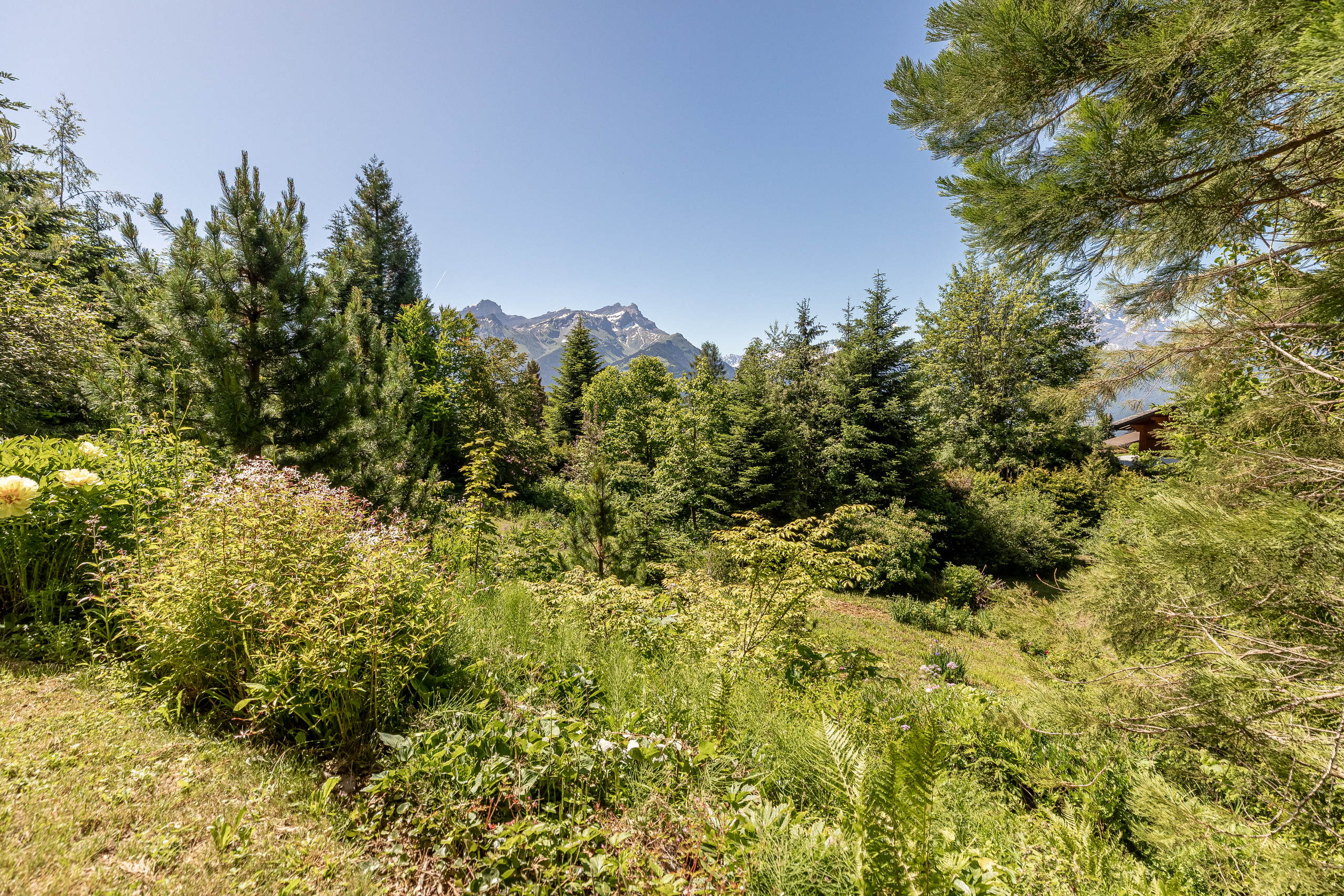 Photo 25