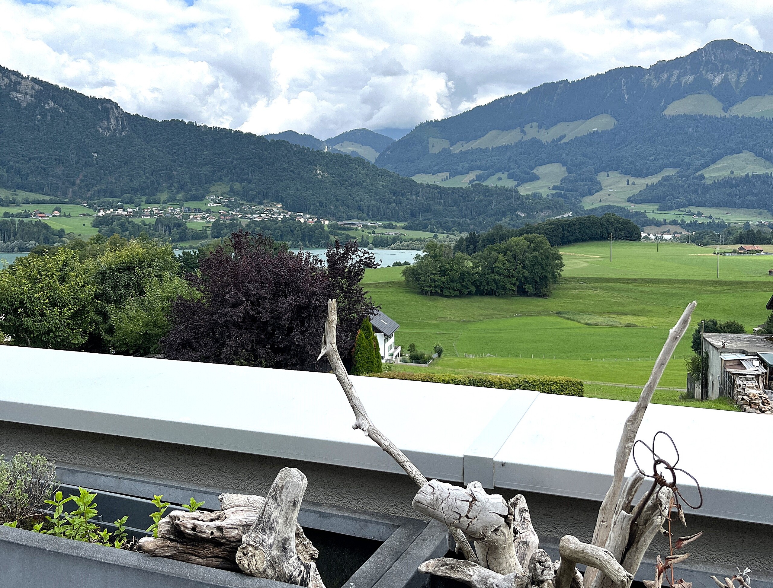 Vue depuis la terrasse