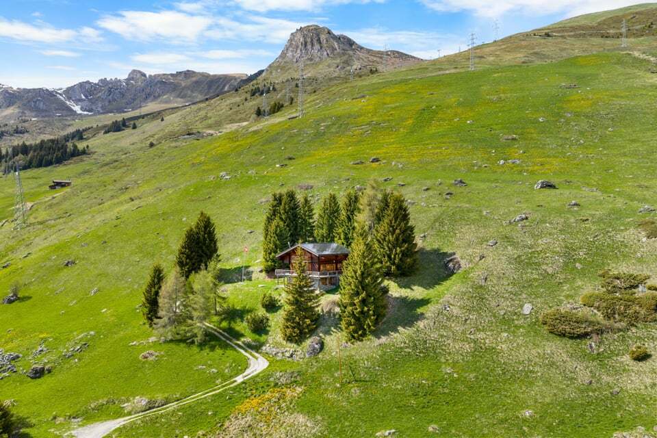 Immagine di copertina