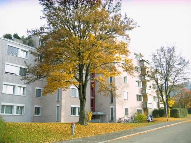 Immagine di copertina