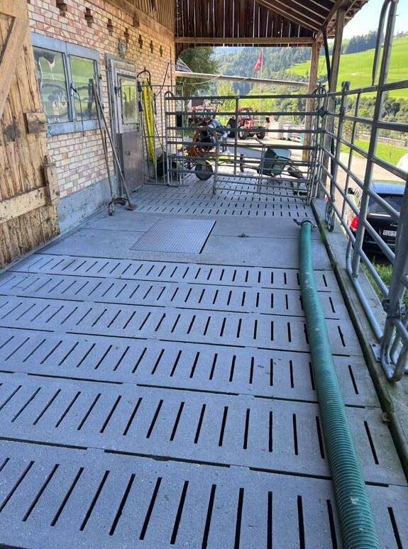 Laufstall Rindvieh Laufstall Rindvieh