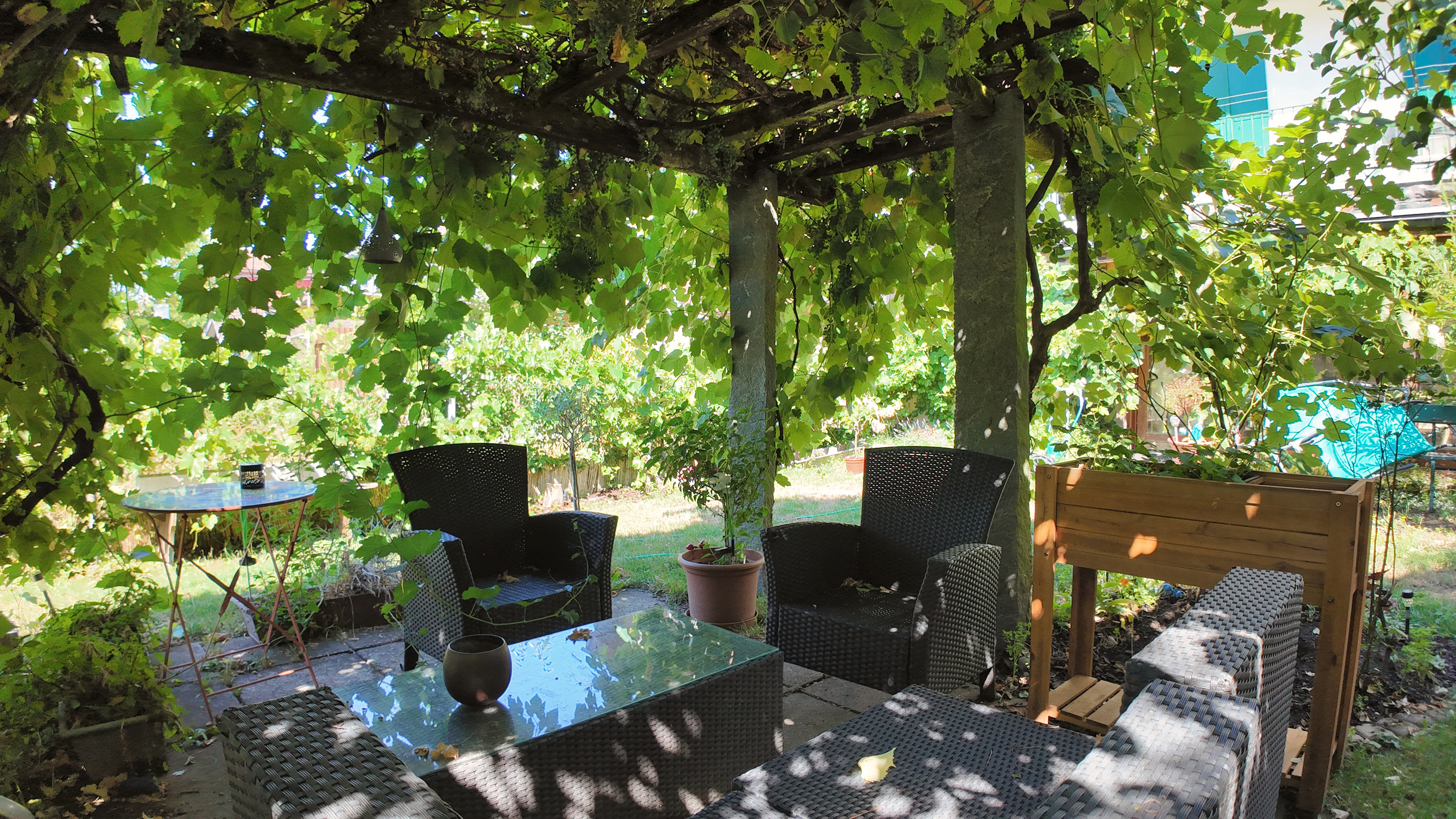 Jardin rez - pergola