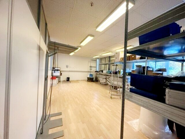 Photo 5