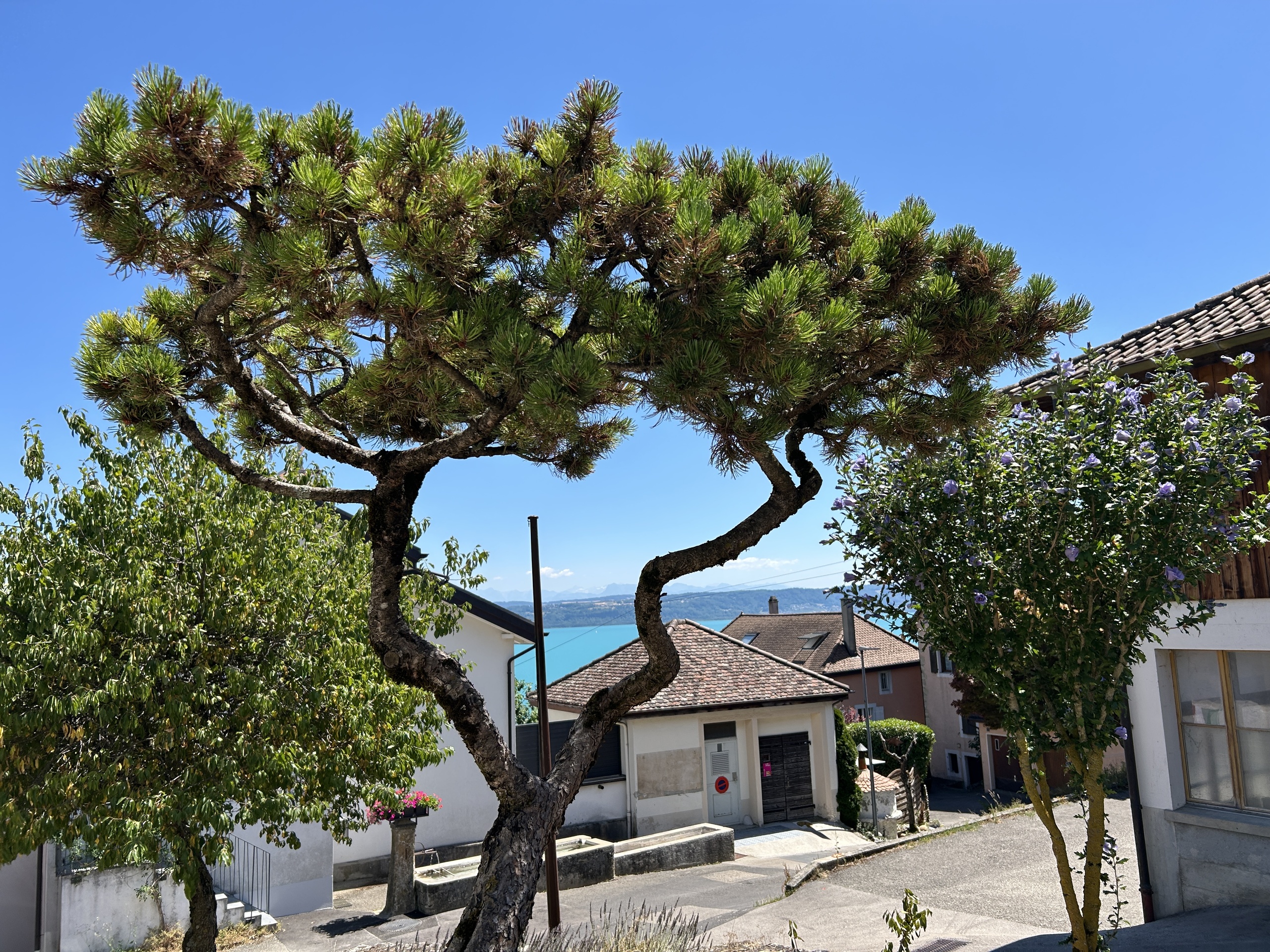 Vue extérieure 4