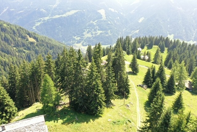 Accès chalet avec au bout du chemin la parking posible