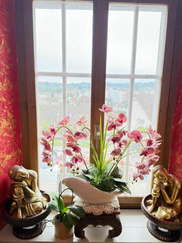 Foto 4