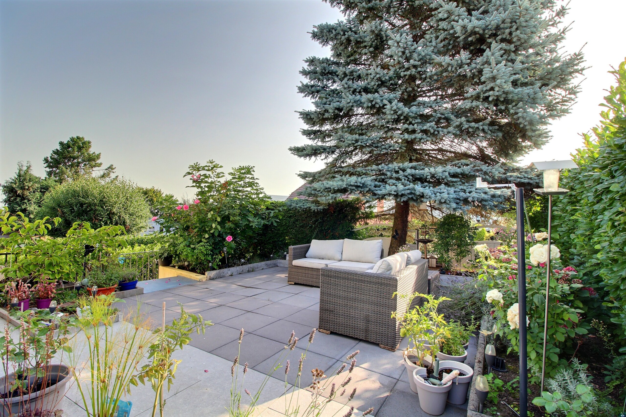 Terrasse 2