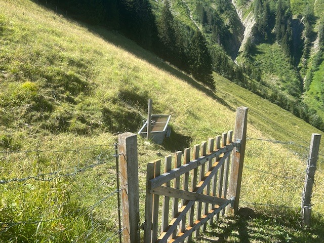 Photo 10