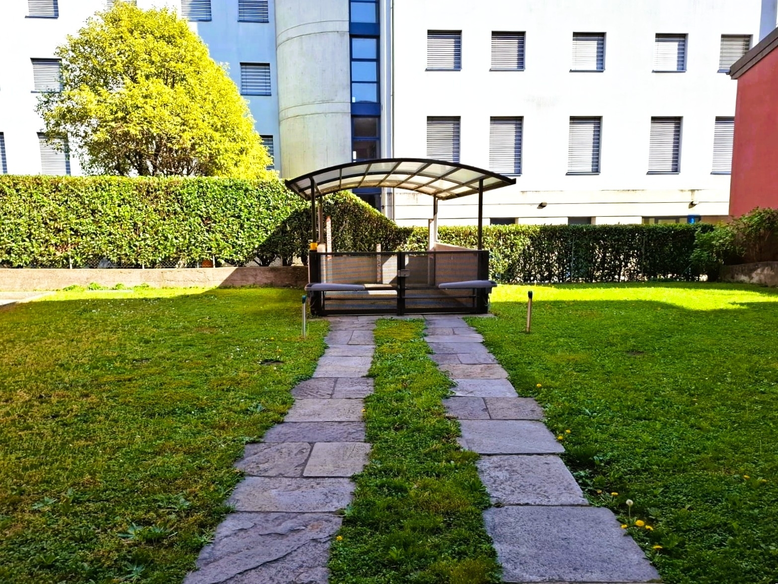 Photo 8